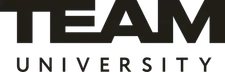 TEAM University, Tashkent logo