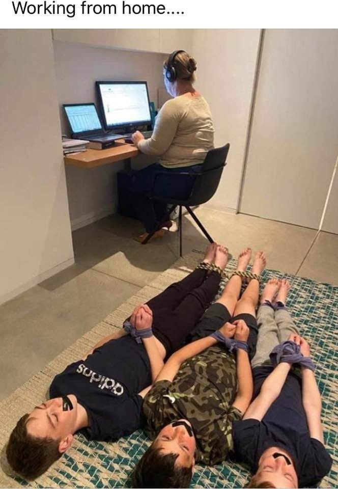 Working from home joke